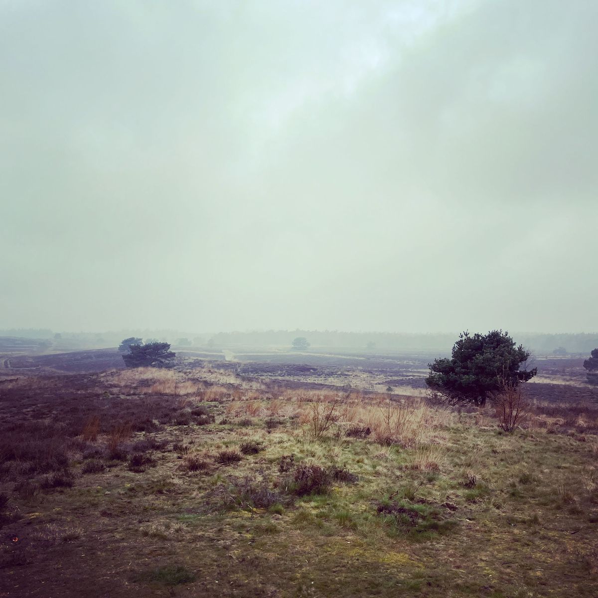 Sanne Roemen - Door mijn filters - Editie #344