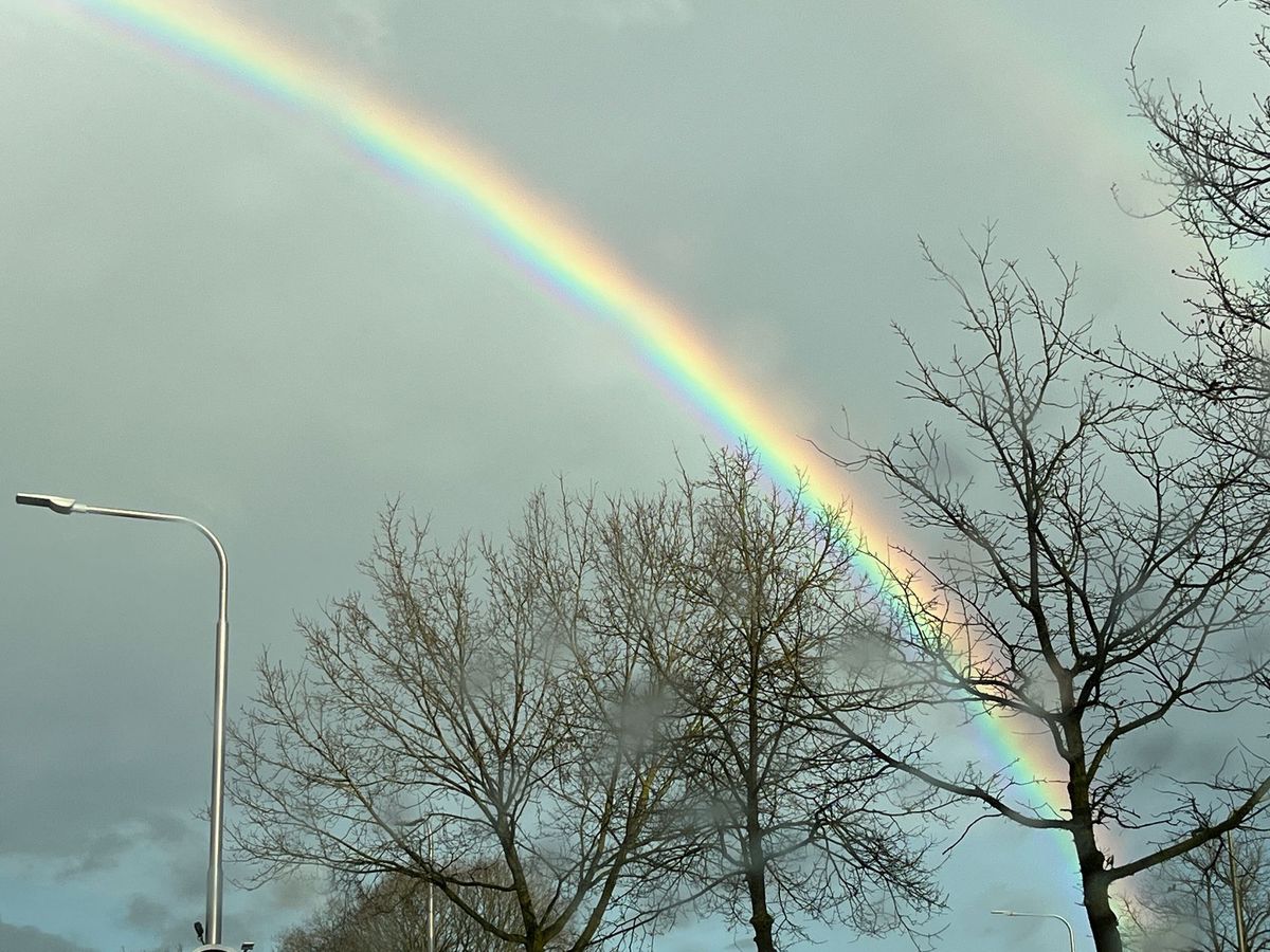 Sanne Roemen - Door mijn filters - Editie #347 over ambtenaren en regenboogangst