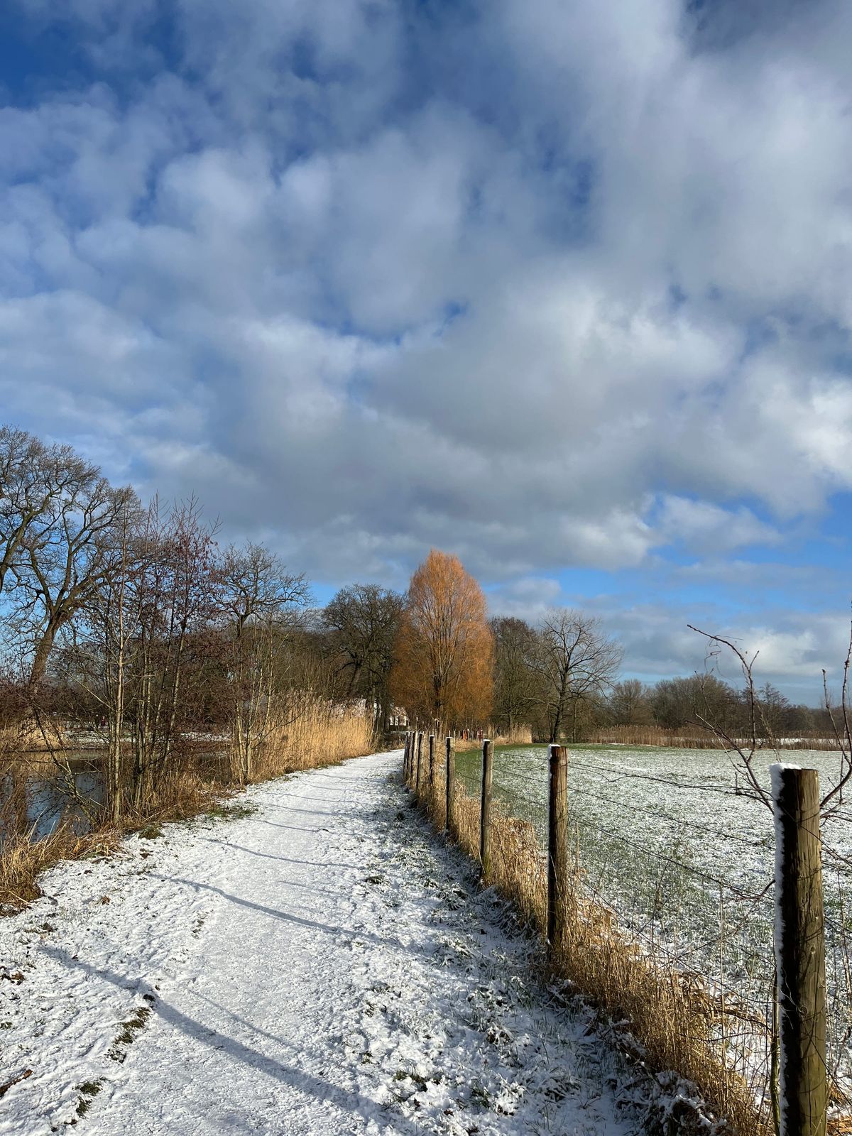Sanne Roemen - Door mijn filters - Editie #368