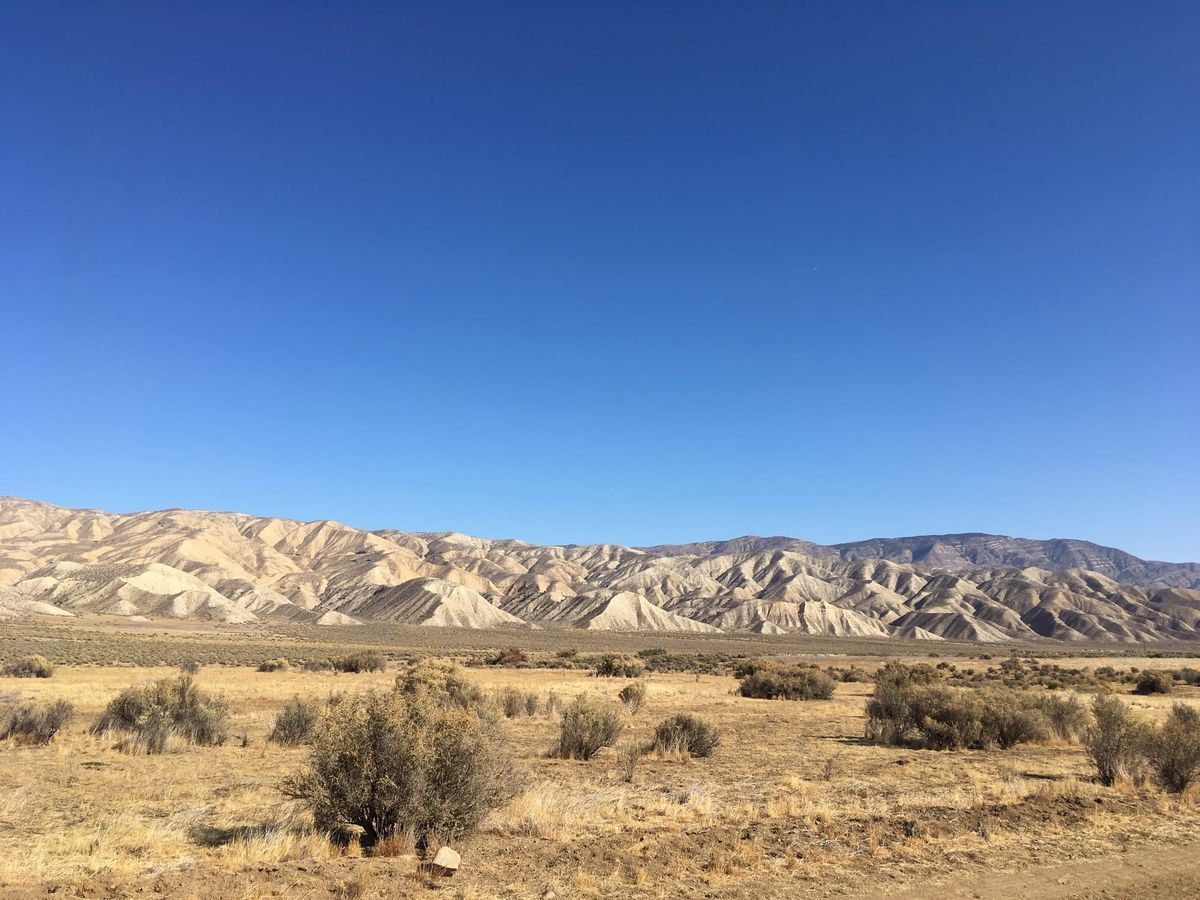 Sanne Roemen - Door mijn filters - Editie #372 - beetje kattig - paradijs - boompje opzetten