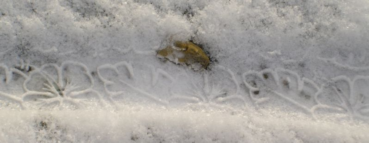 Sanne Roemen - Door mijn filters - Editie #373 - humeurmanagement