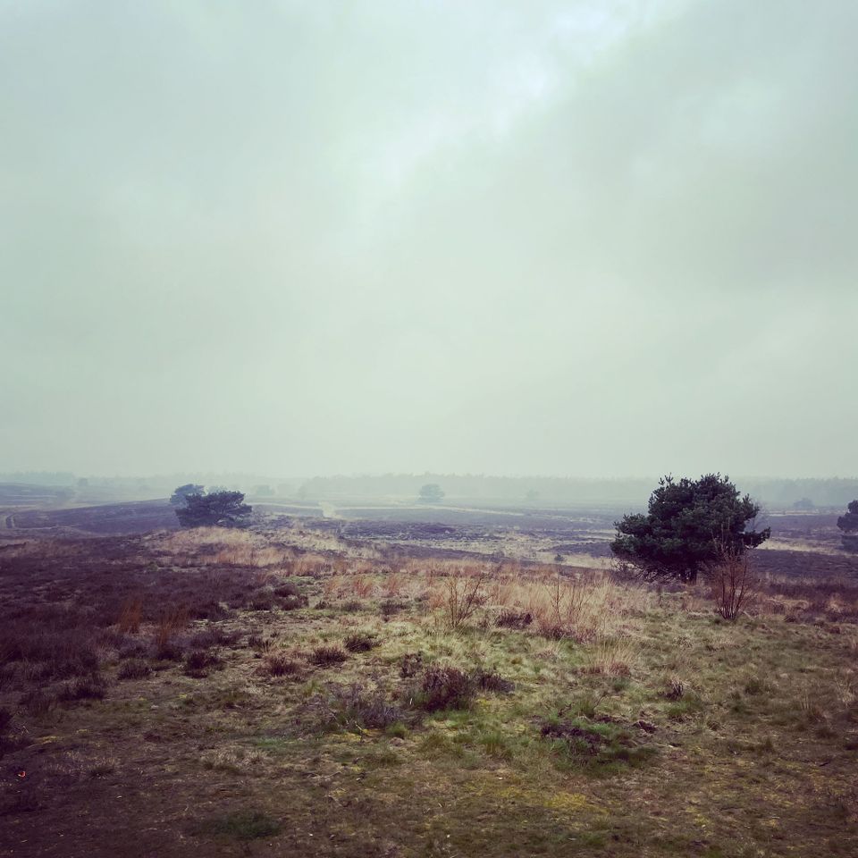 Sanne Roemen - Door mijn filters - Editie #344