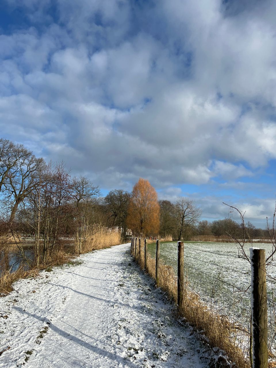Sanne Roemen - Door mijn filters - Editie #368
