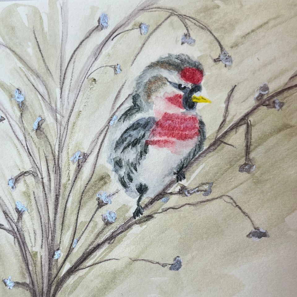 Sanne Roemen - Door mijn filters - Editie #370