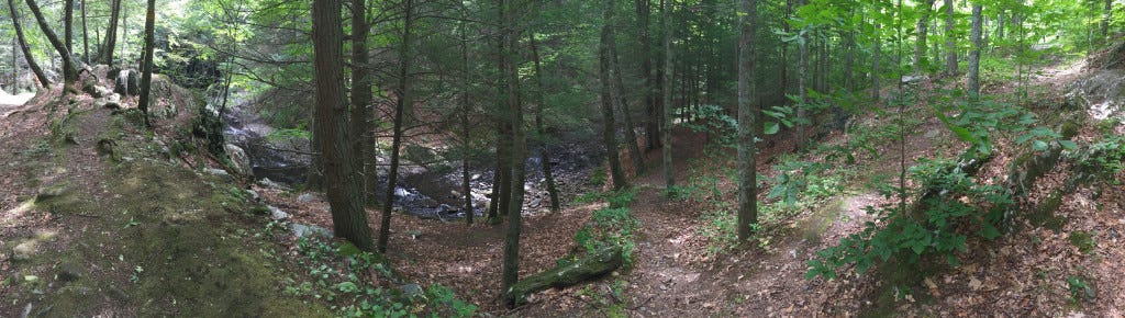Panorama view of the path leading to Sperry Falls.
