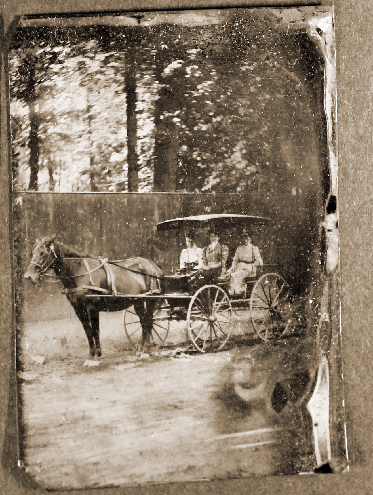 Surry with the fringe on top