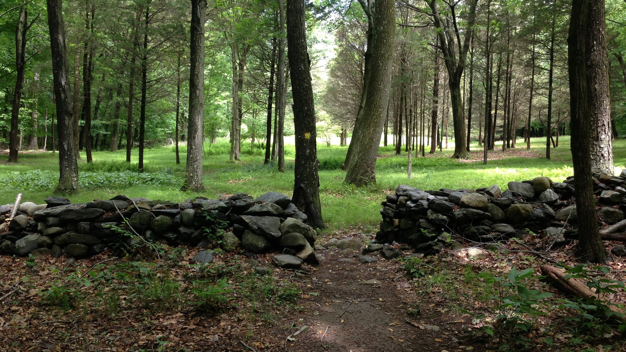 Alice Newton Street Park, 2023