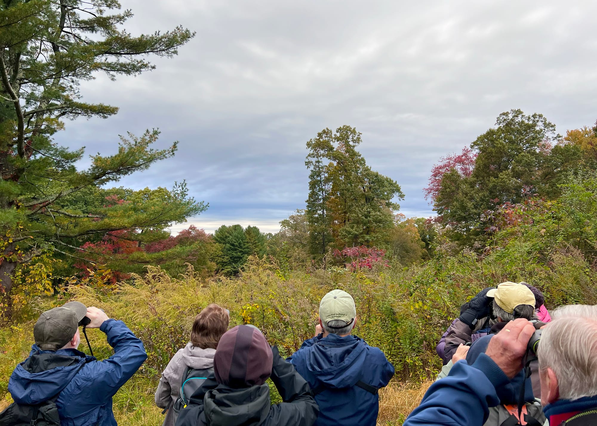 Cloverhill bird walk