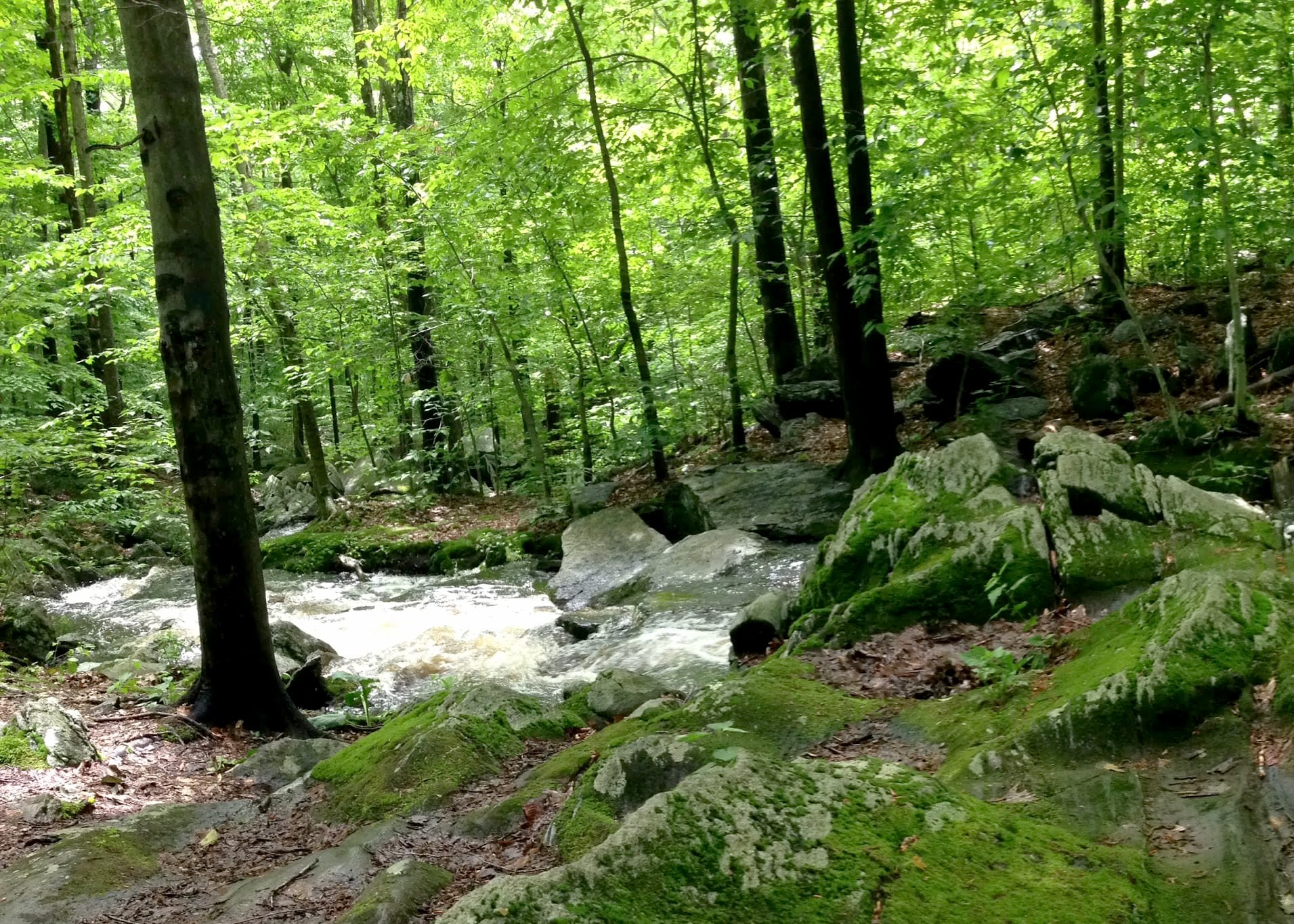 2013 photo of the Wepawaug River