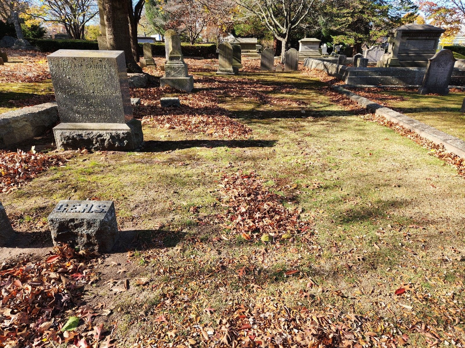 Image courtesy of FAG website.