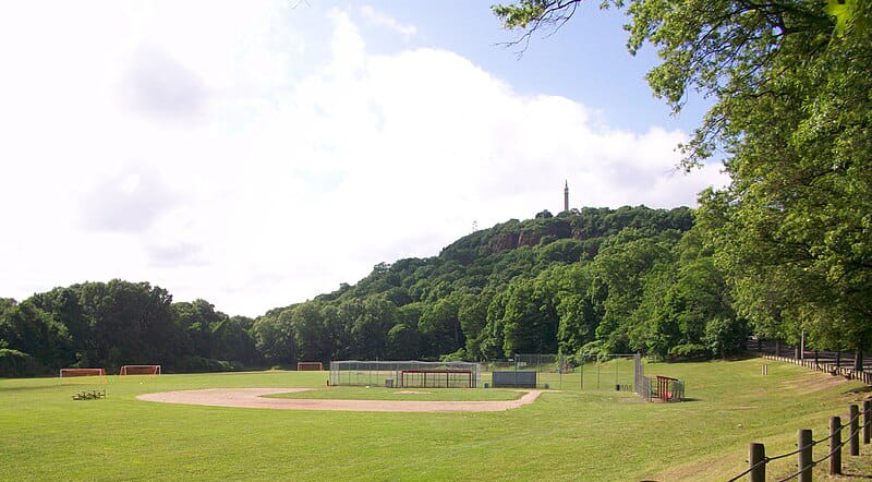 Rice Field in New Haven