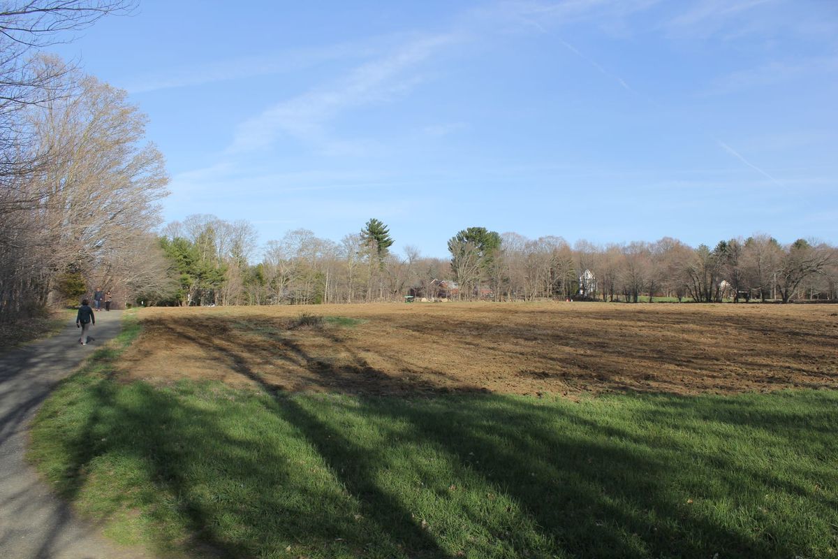 The FitzGerald Property