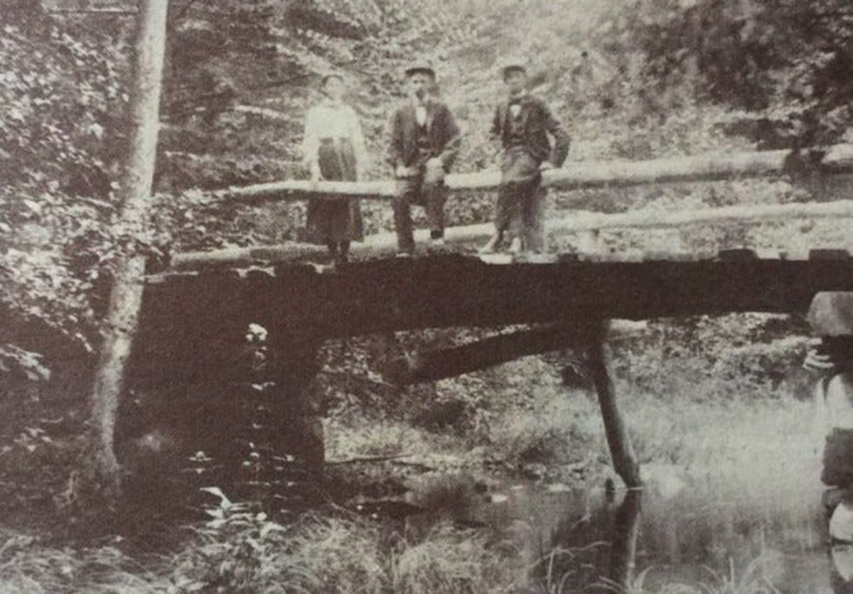 A visit to Sperry Park, June 2015