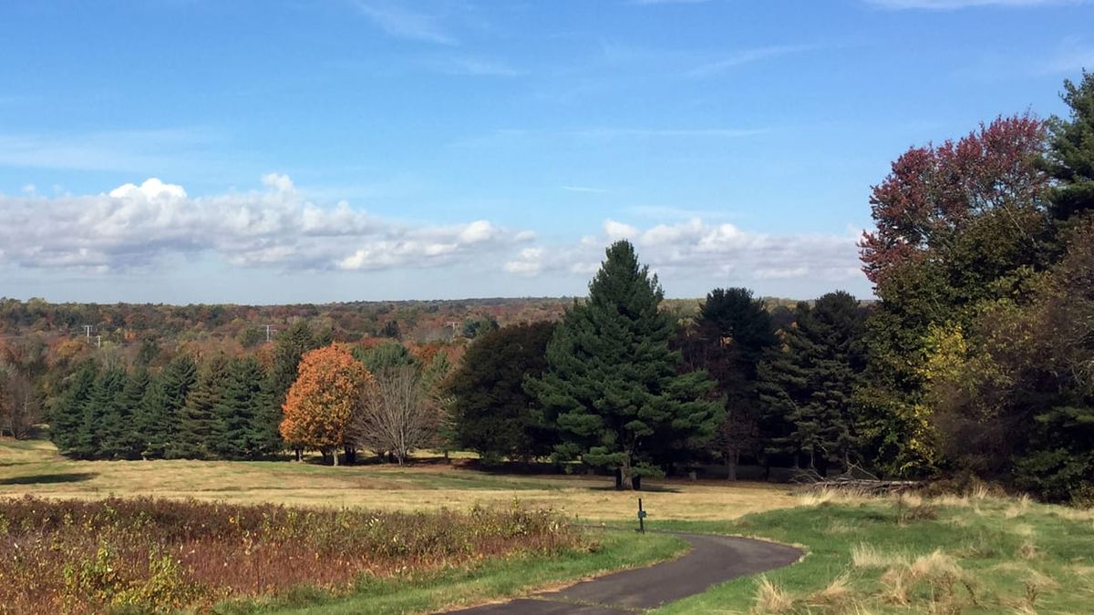 The resilient beauty of Cloverhill