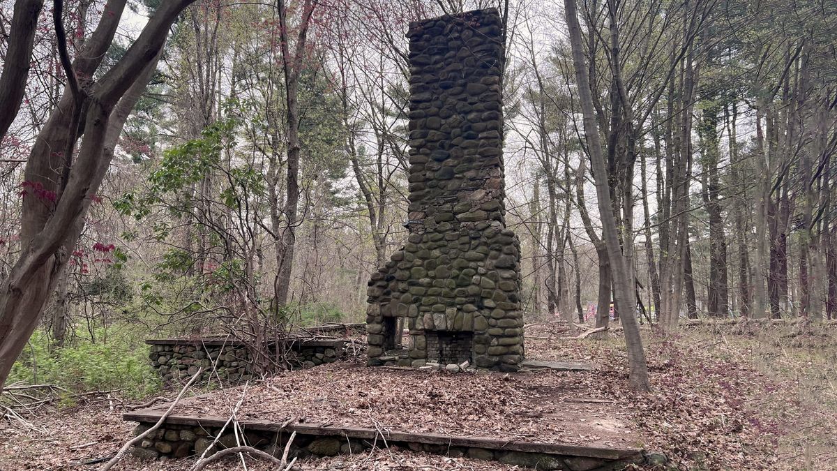 Mrs. Rice and her pond: a glimpse of the past through the trees