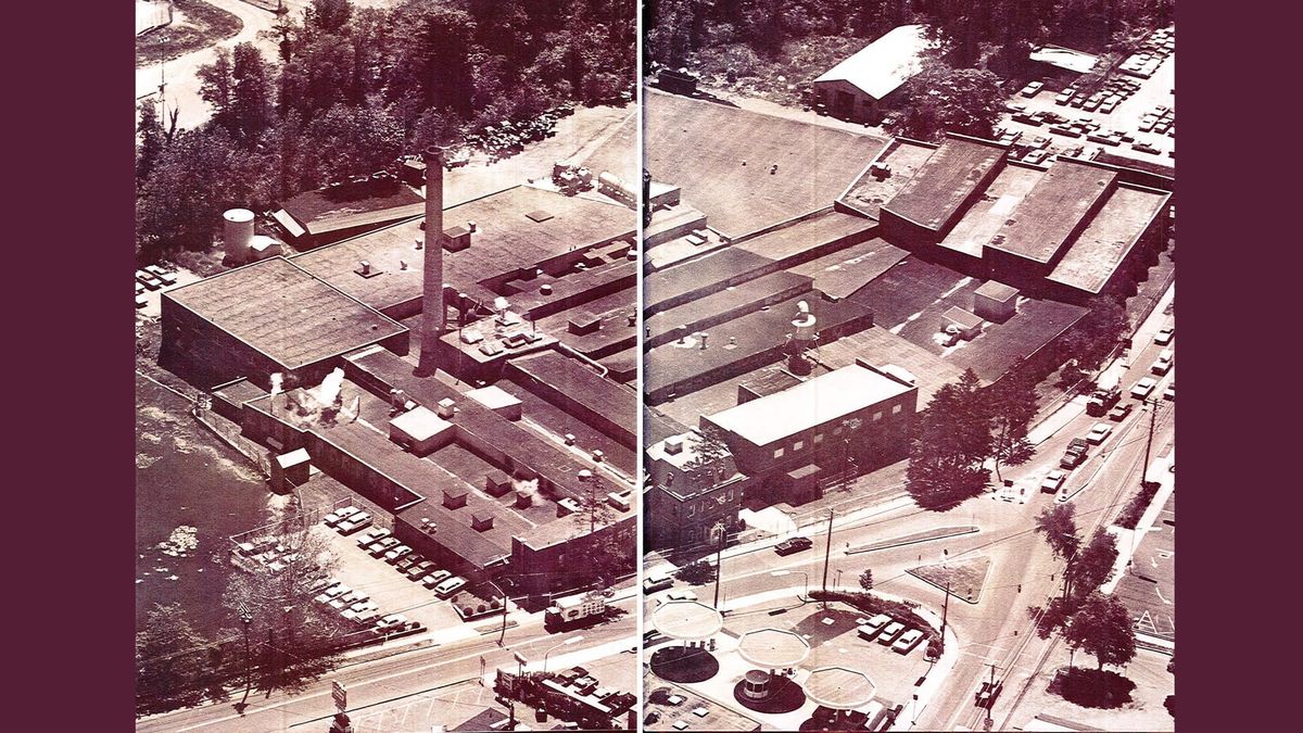 The legacy of the Pond Lily Company: From industry to ecological renewal