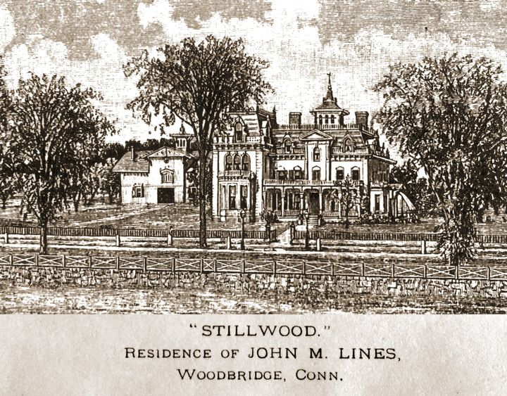 Lines family in Woodbridge