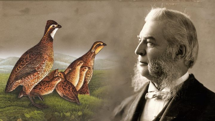 Quail and friend E. K. Sperry