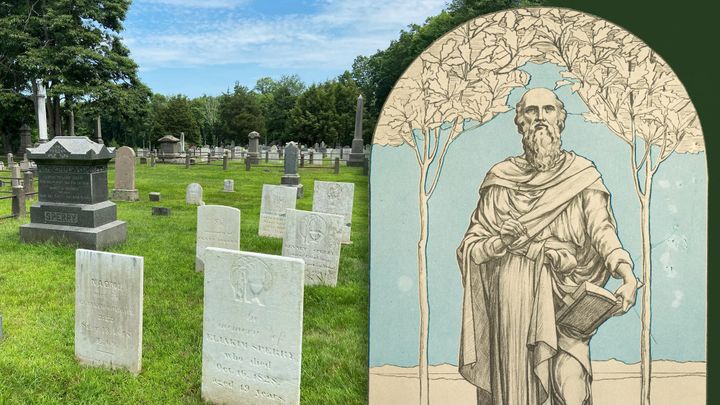 Sperry plot and artwork