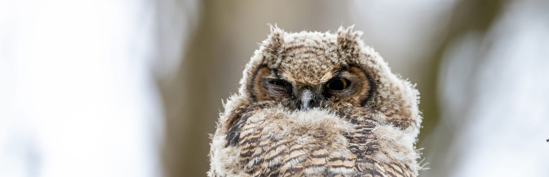 Nem todas as pessoas difíceis são tóxicas