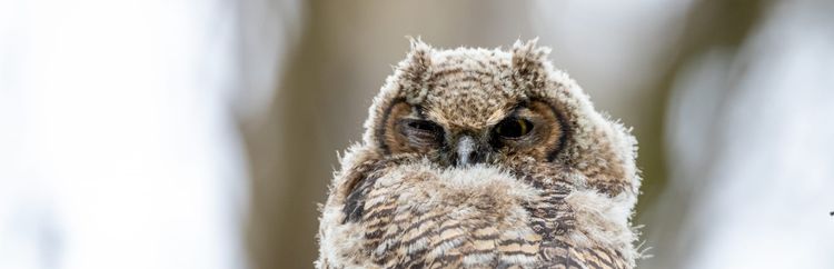 Nem todas as pessoas difíceis são tóxicas