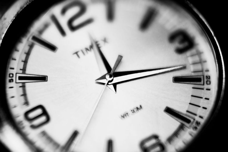 Quanto custa à tua empresa seres tu a fazer isto?