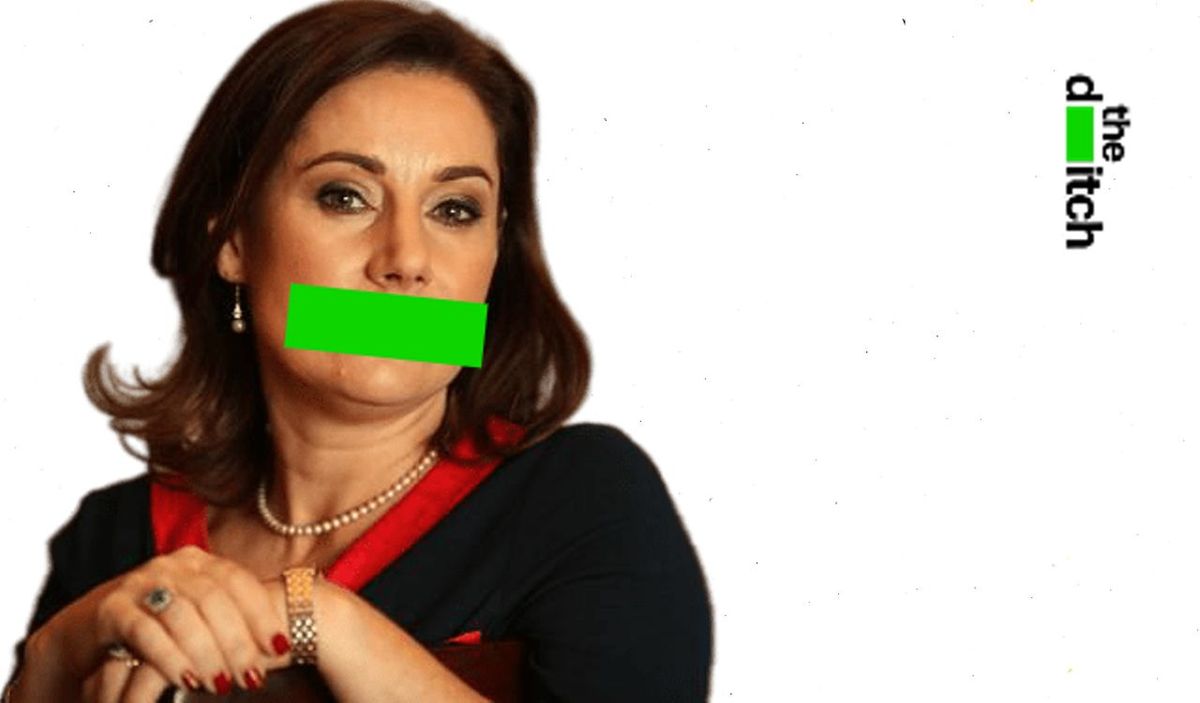 Fine Gael minister of state Josepha Madigan defaulted on investment property mortgage