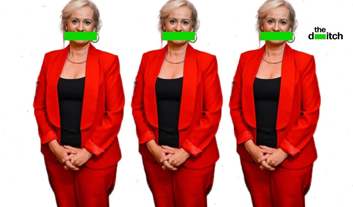 Fianna Fáil TD Niamh Smyth asked unemployed people on state placement to work on site bought by husband