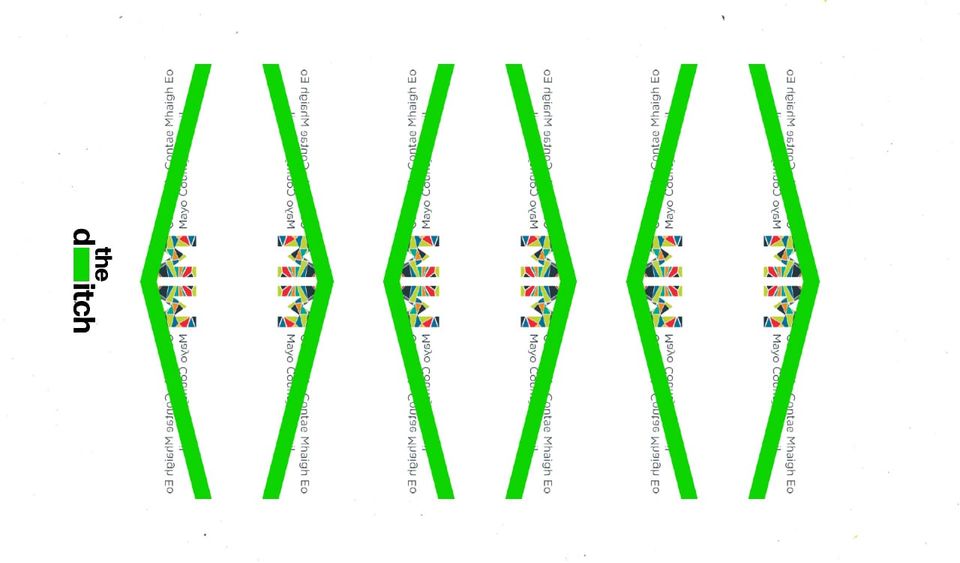 Chief executive and housing head among Mayo County Council’s landlords – one in five senior staff let properties