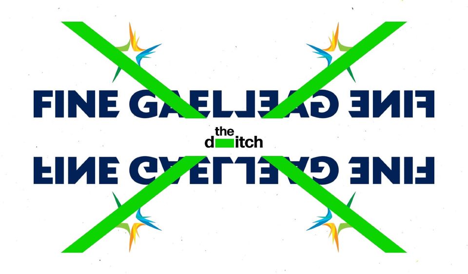 Fine Gael politician allegedly paid sex workers using stolen money