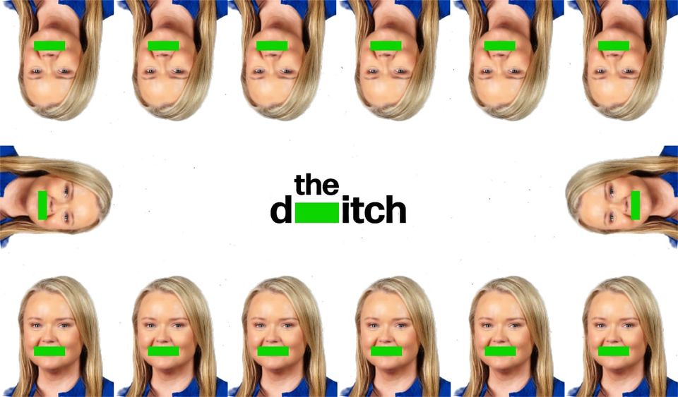 Meath Fine Gael candidate – and assistant to Damien English – in battle with council over unlawful development