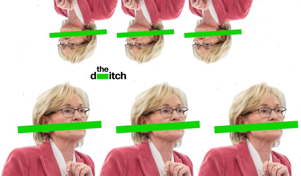 Fine Gael presidential candidate Mairead McGuinness: multi-property, mortgage-free landlord