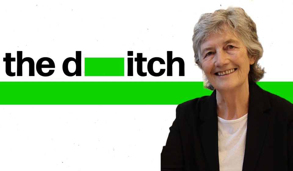 Comment: The right is unified in opposing the worthy successor to Higgins – Sinn Féin should support her