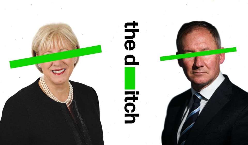 Presidential election ballot gives Fine Gael, Fianna Fáil unlawful advantage – The Ditch is challenging