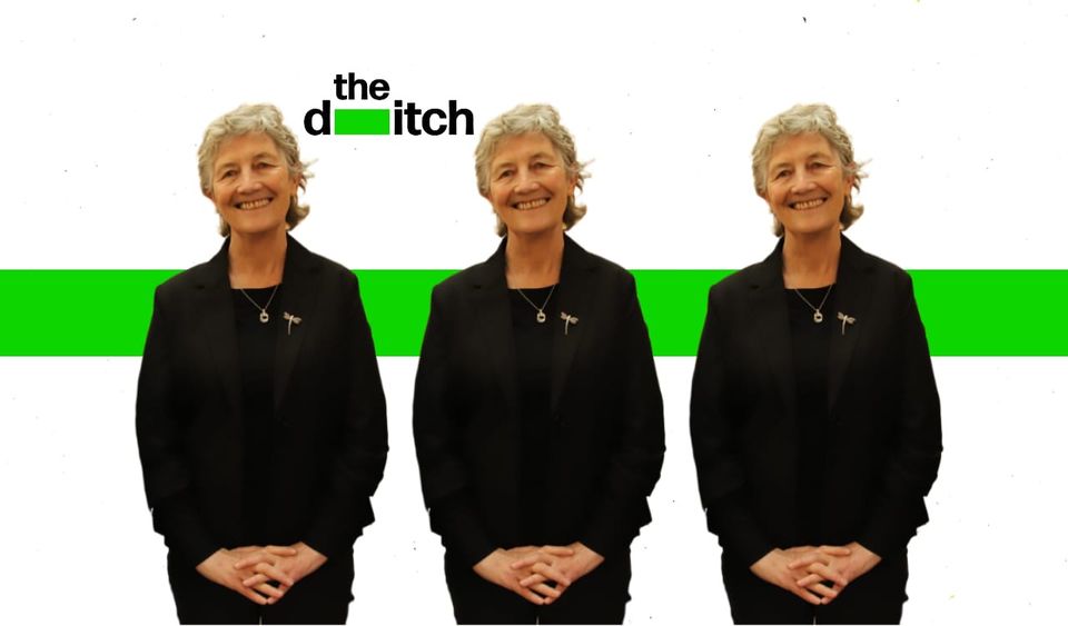 Comment: Highly speculative reasoning on three short reminiscences concerning Catherine Connolly