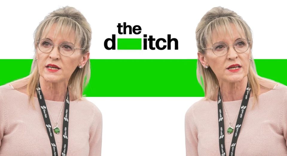 Israeli government paid law firm thousands to investigate Sinn Féin MEP