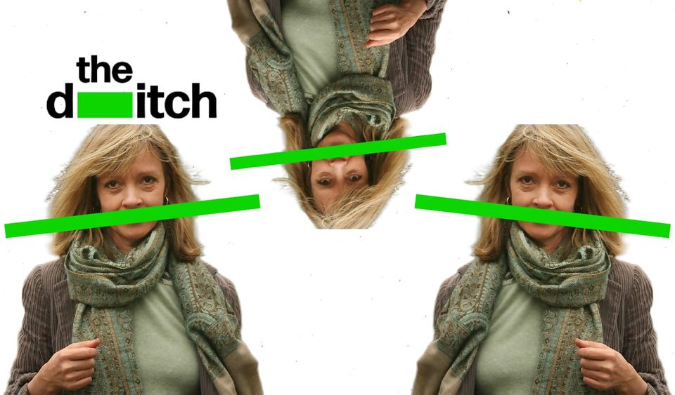 Jeffrey Epstein: Anglo-Irish heiress Sabrina Guinness is one of my 'old buddies'