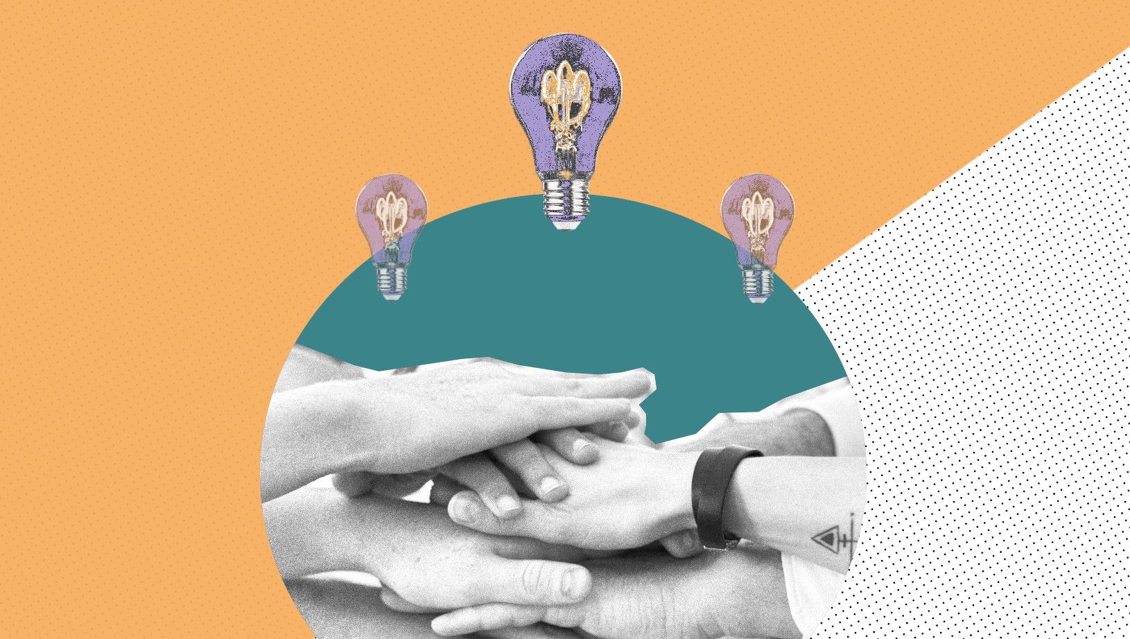 ¿Qué es y para qué sirve DataWise?