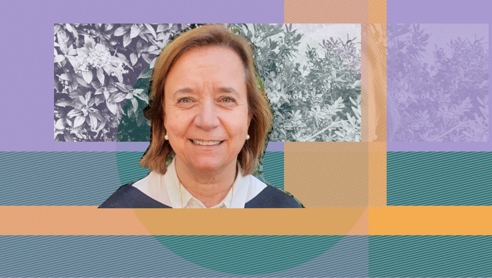 Mónica Donoso: “Pulso nos ha permitido enfocarnos en alumnos que requieren apoyo socioemocional específico”