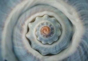 Legal Jargon, Terms, Privacy Policy