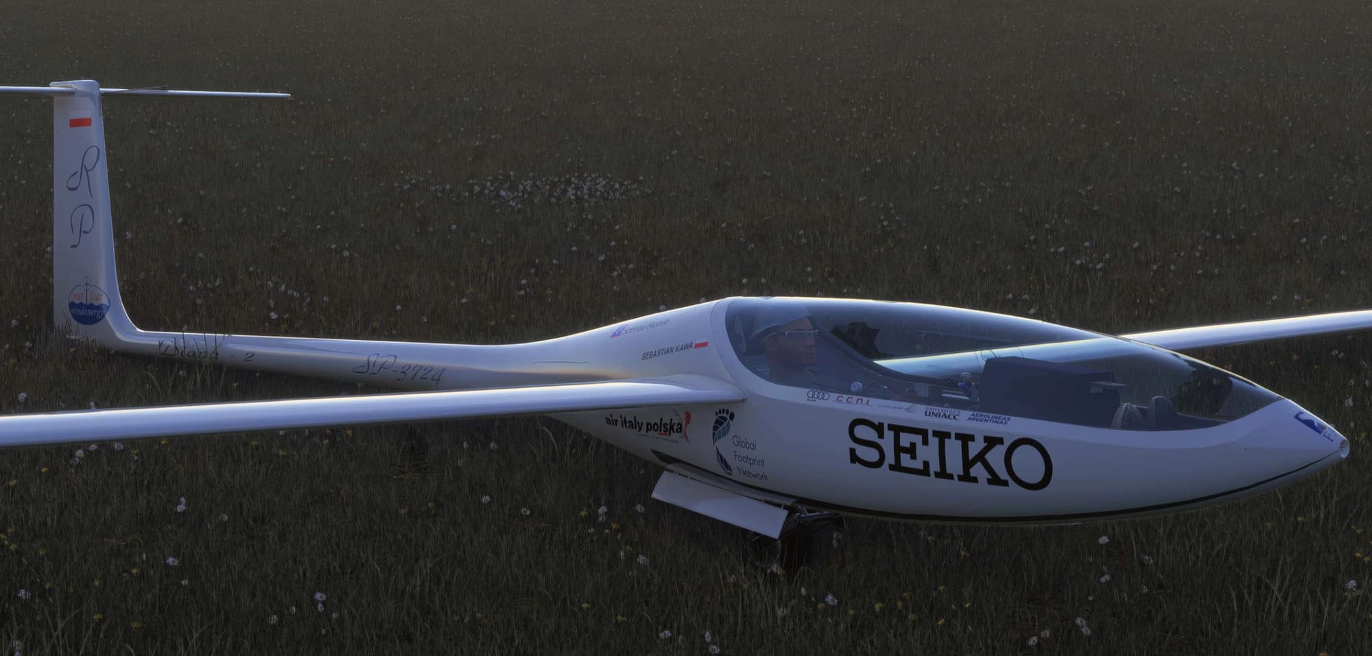 SZD-56-2 Diana 2 Glider Arrives from 61tree Studio