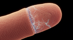 Permanent Ink: The Unseen Blueprint That Makes Your Fingerprints Unforgettable