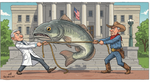 The Fishy Politics of Catfish: Why a Single Seafood Answers to the USDA, Not the FDA