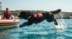 Beyond the Buoy: The Canine Lifesaving Corps of the Adriatic
