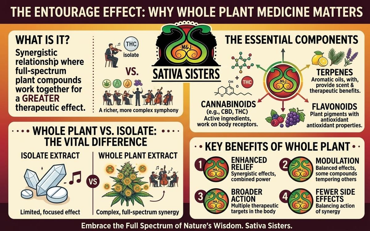 The Entourage Effect: Why Whole Plant Medicine Matters