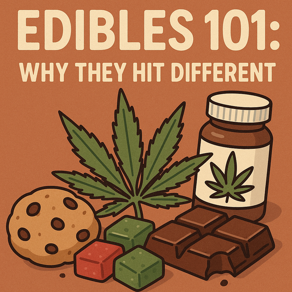 Edibles 101: Why They Hit Different