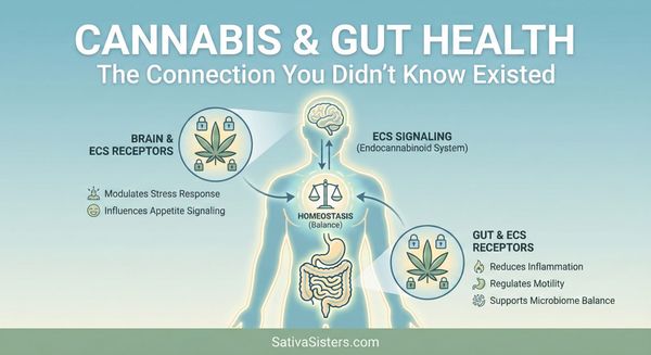 Cannabis & Gut Health: The Connection You Didn't Know Existed