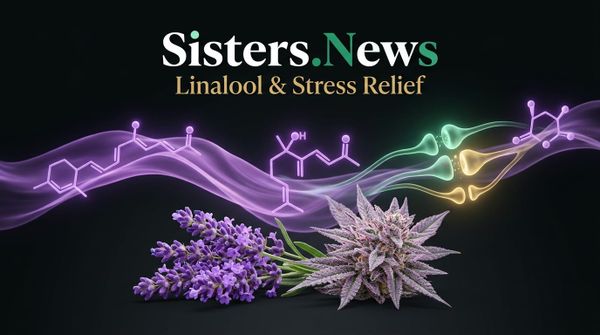 Linalool: The Floral Terpene for Stress Relief & Calm