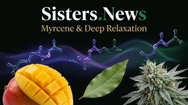 Myrcene & Deep Relaxation: The Herbal Terpene for Unwinding