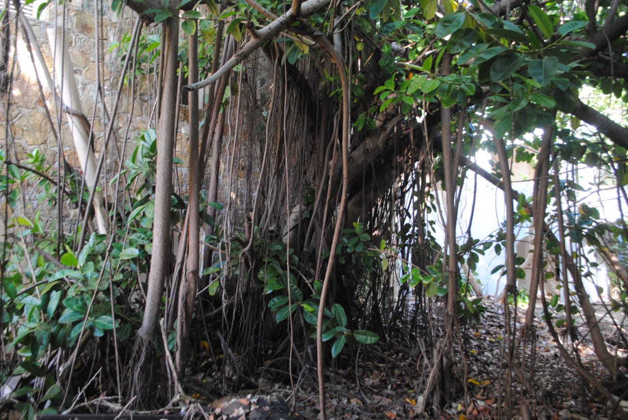 Belle Creole St Martin